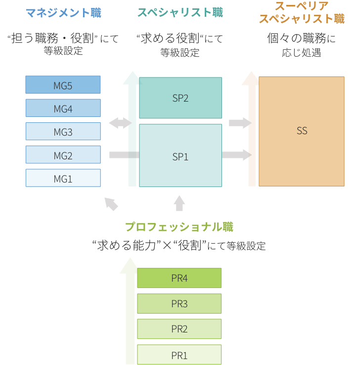マネジメント職 “担う職務・役割” にて等級設定 スペシャリスト職 “求める役割“にて等級設定 スーペリアスペシャリスト職 個々の職務に応じ処遇 プロフェッショナル職 “求める能力”×“役割”にて等級設定