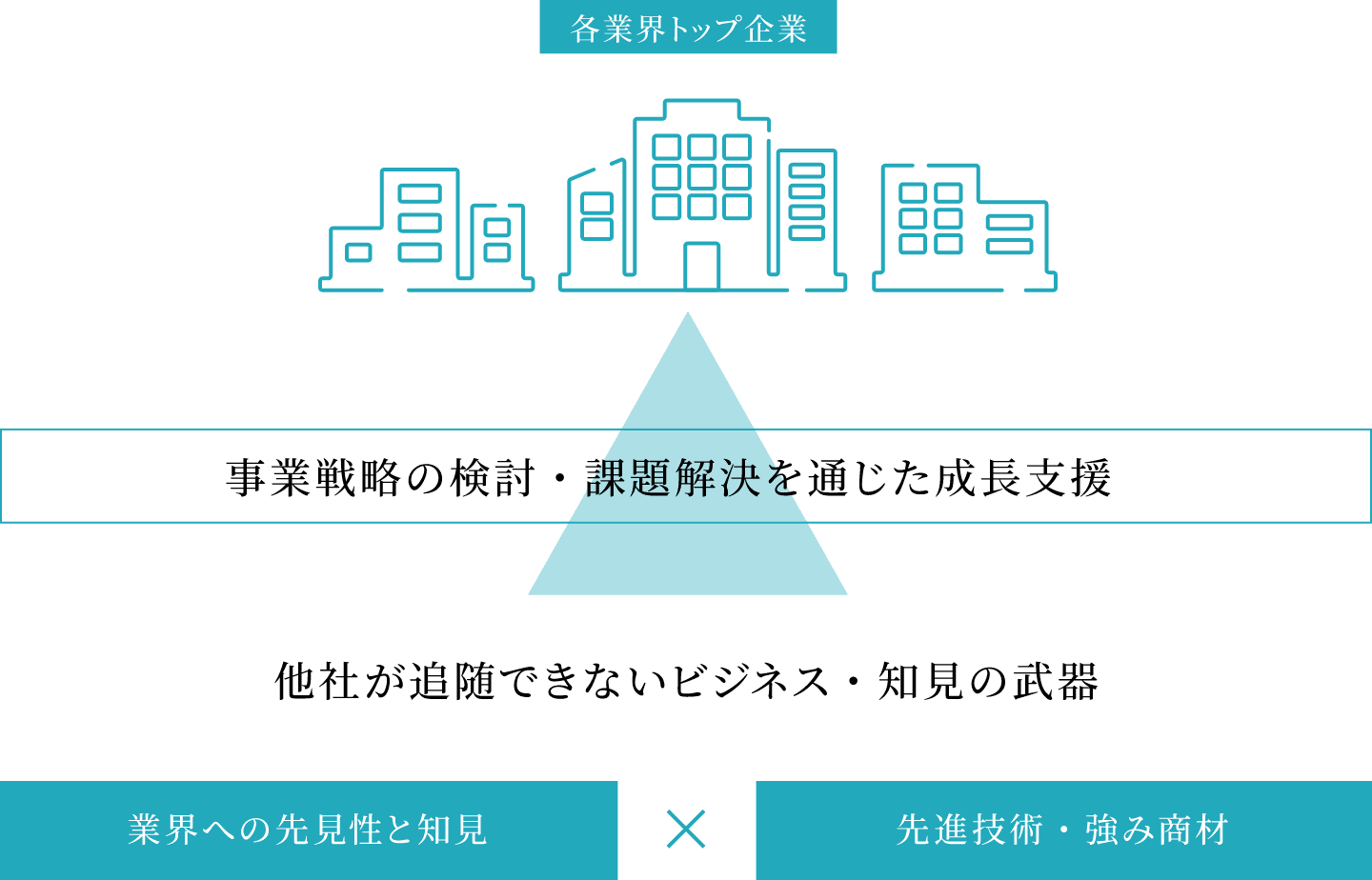 TIS戦略 図解｜ストラテジックパートナーシップビジネス